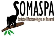 somaspa-300x199.jpg